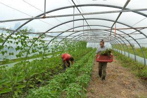 installation agricole