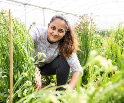 Formation écologie insertion professionnelle en Seine-Saint-Denis