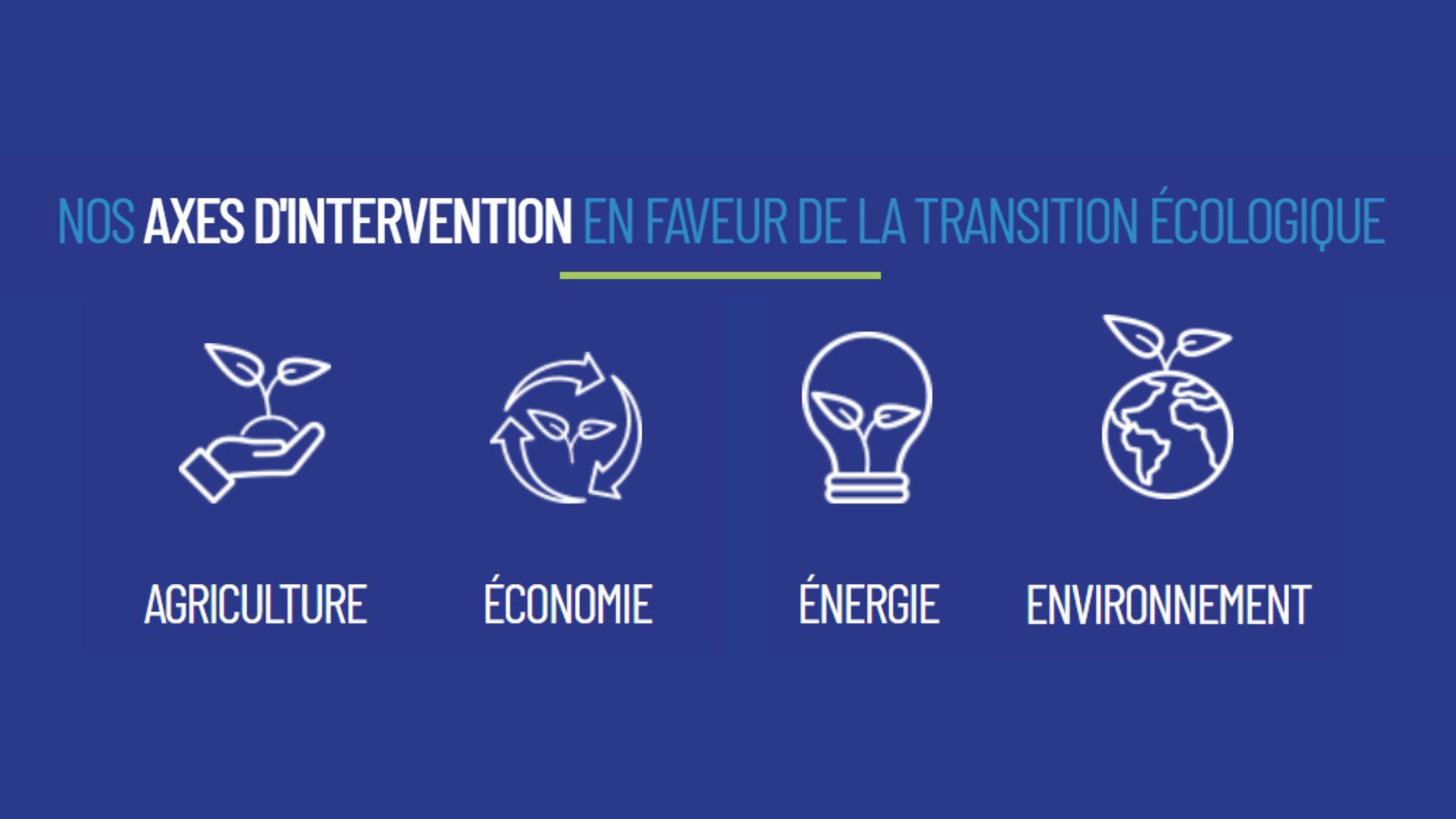 Les 4 axes d'intervention de la Fondation Terre Solidaire, l'agriculture, l'économie, l'énergie et l'environnement