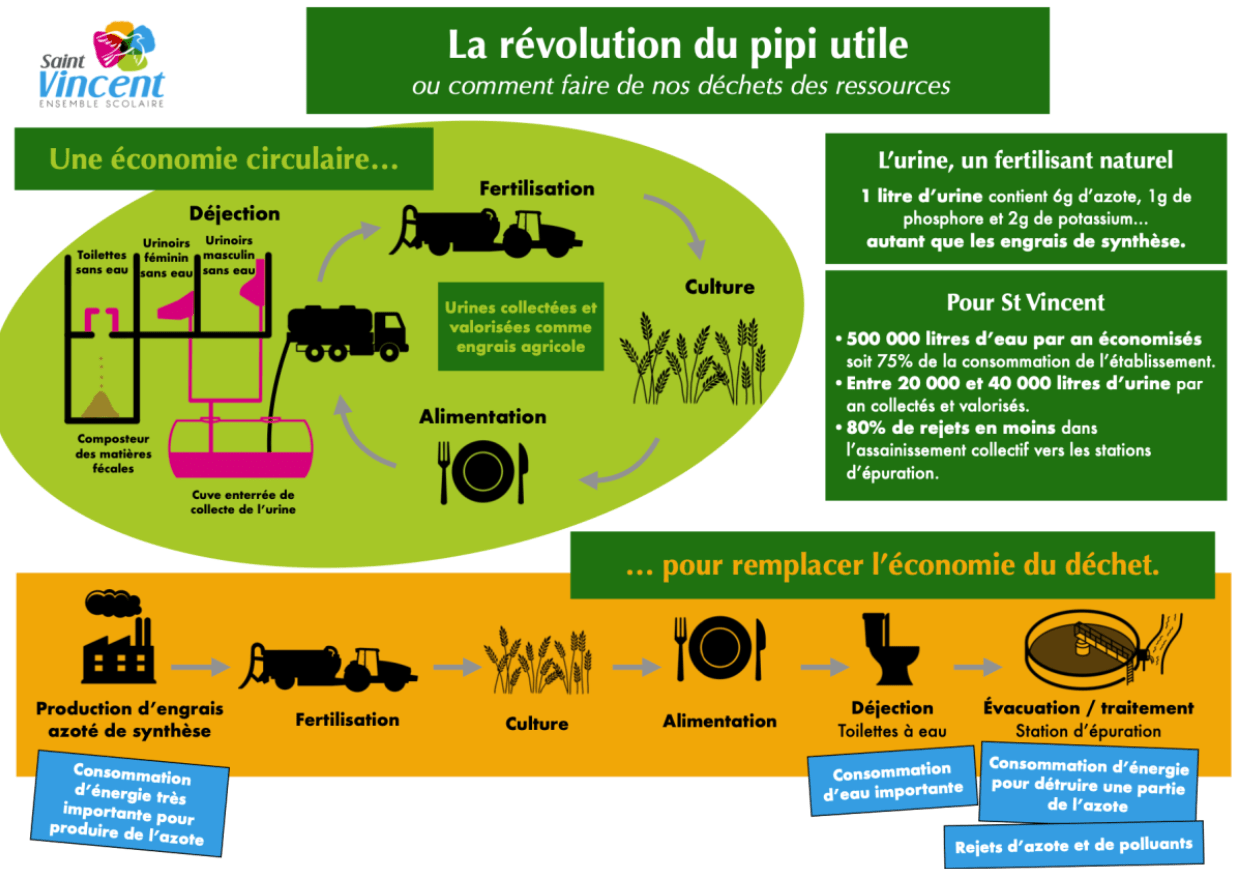 Le schéma de présentation de la valorisation du pipi
