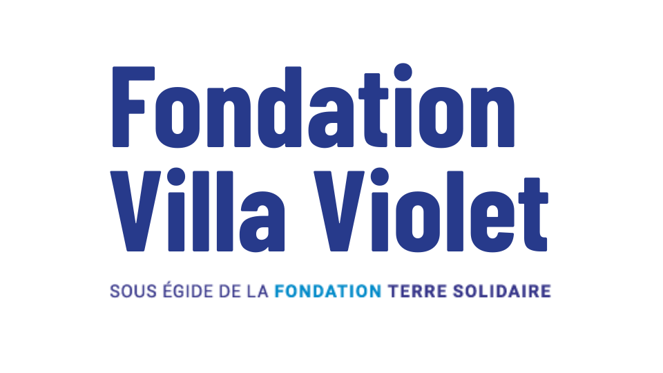 Logo provisoire fondation Villa Violet