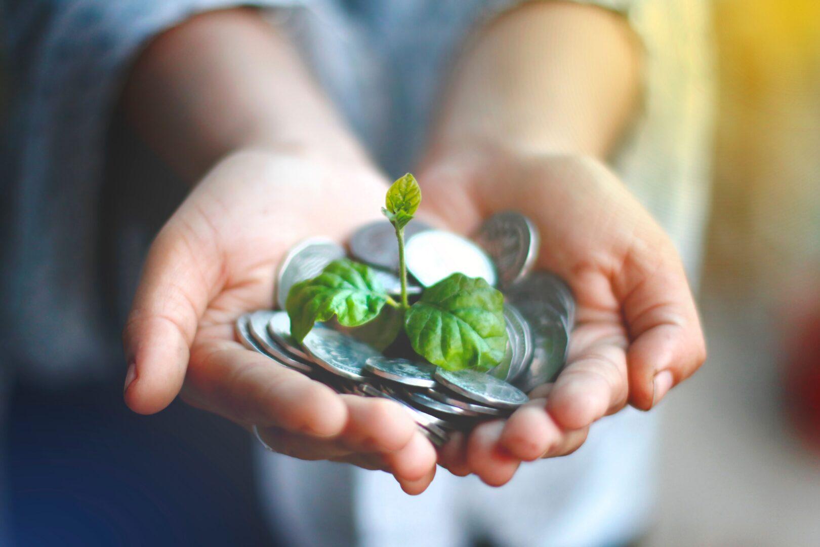 Illustration symbolisant la finance durable et la transition écologique avec des pièces de monnaie et des pousses de plantes"